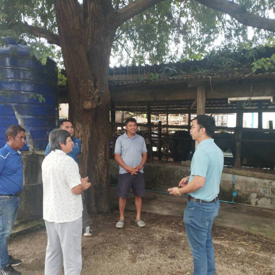 ให้คำแนะนำการป้องกันโรคปากและเท้าเปื่อยในโคเนื้อ และแนะนำการขอรับรองฟาร์มปลอดโรคแท้งติดต่อและฟาร์มปลอดโรควัณโรคในฟาร์มโคเนื้อ และฟาร์มแพะ จังหวัดระนอง