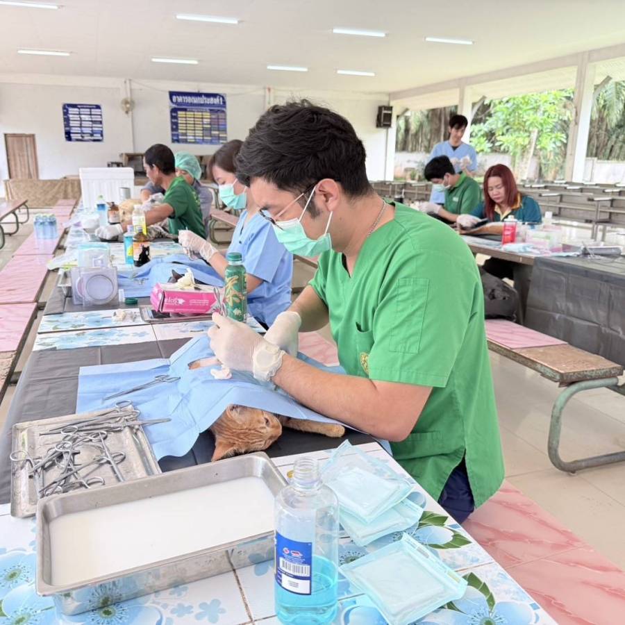 ร่วมออกหน่วยบริการผ่าตัดทำหมัน สุนัข-แมว ในบริเวณวัดและโรงเรียน พื้นที่ชุมชนบ้านดอนเกลี้ยง อ.เมือง จ.สุราษฎร์ธานี